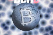 Bchd Developers宣布推出用于比特币现金的Neutrino钱包
